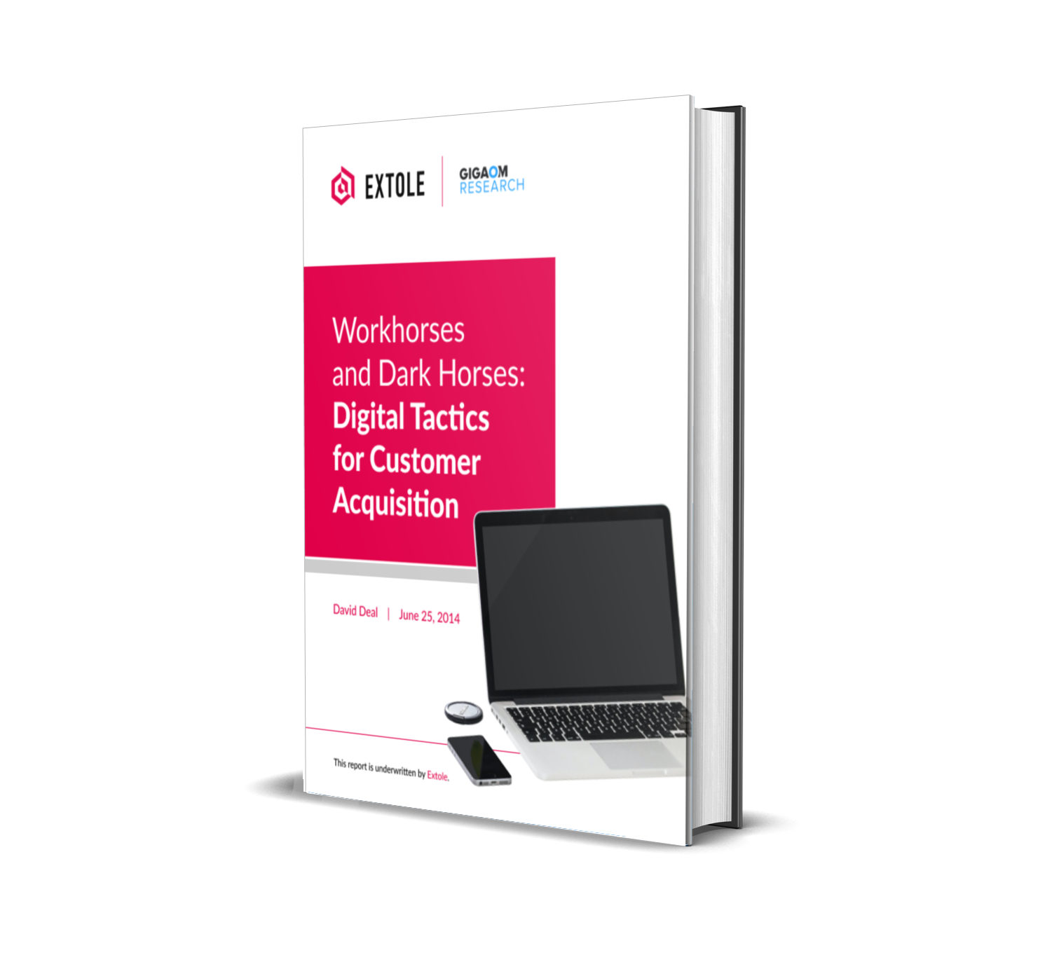 Cover of Gigaom Research Report: Workhorses and Dark Horses