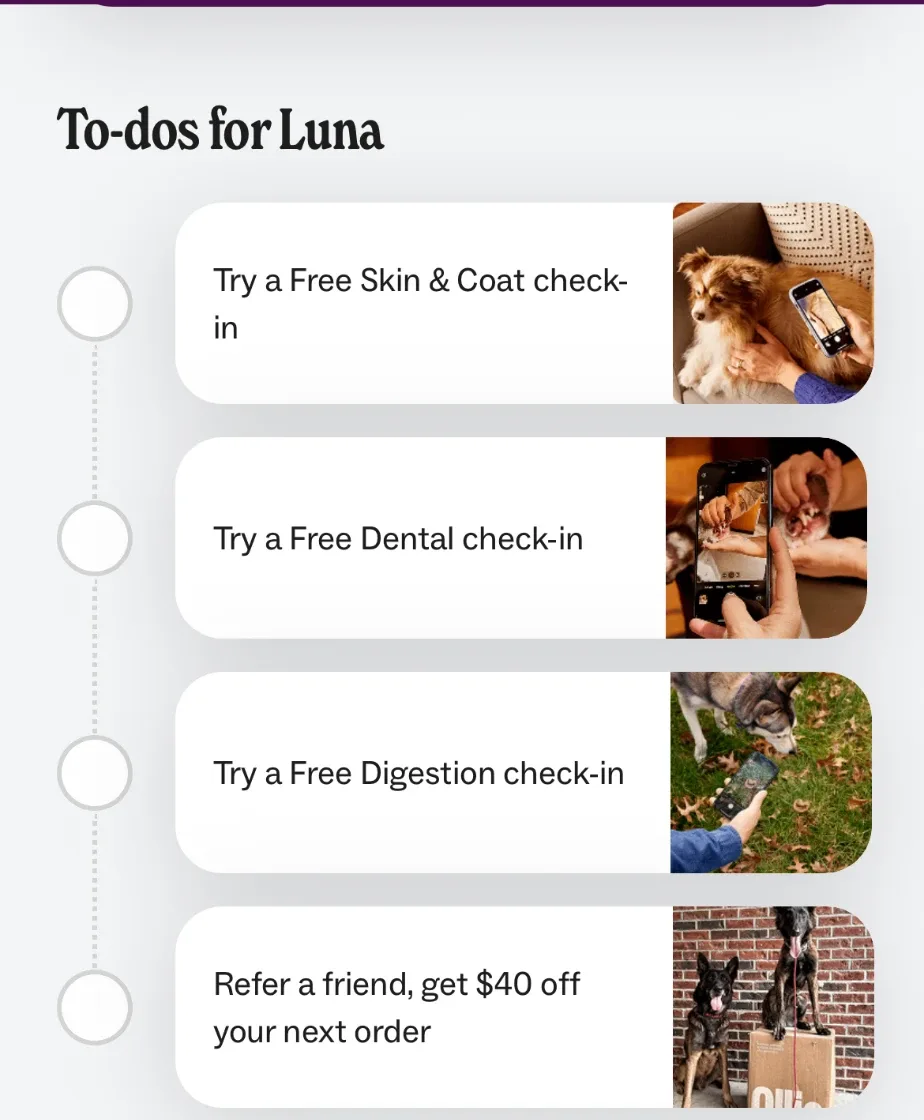 Ollie app home screen with a to-do list that includes Refer a friend, get $40 off your next order.