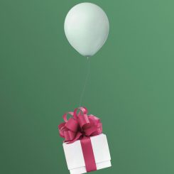 Digital rewards platform
